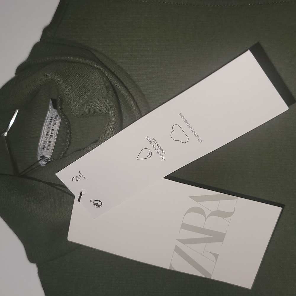 Zara Dress - Picture 3 of 6